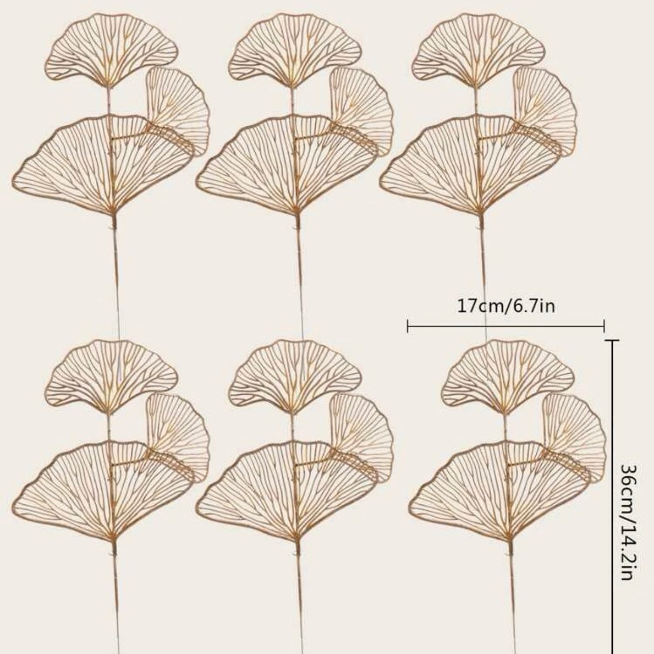 GINKO LEAVES